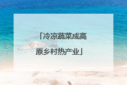 冷凉蔬菜成高原乡村热产业