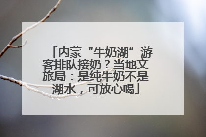 内蒙“牛奶湖”游客排队接奶？当地文旅局：是纯牛奶不是湖水，可放心喝