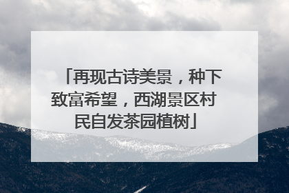 再现古诗美景，种下致富希望，西湖景区村民自发茶园植树