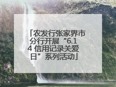 农发行张家界市分行开展“6.14 信用记录关爱日”系列活动