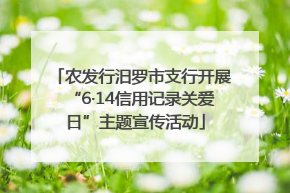 农发行汨罗市支行开展“6·14信用记录关爱日”主题宣传活动