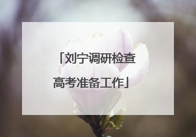 刘宁调研检查高考准备工作