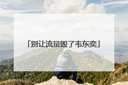 别让流量毁了韦东奕