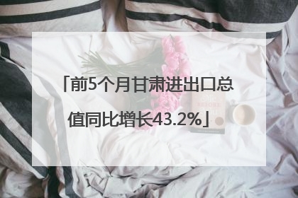 前5个月甘肃进出口总值同比增长43.2%