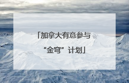 加拿大有意参与“金穹”计划