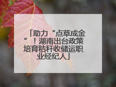 助力“点草成金”！湖南出台政策培育秸秆收储运职业经纪人