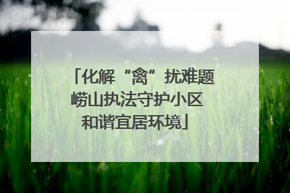 化解“禽”扰难题 崂山执法守护小区和谐宜居环境