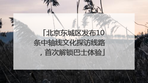 北京东城区发布10条中轴线文化探访线路，首次解锁巴士体验