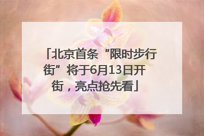 北京首条“限时步行街”将于6月13日开街，亮点抢先看
