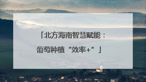 北方海南智慧赋能：葡萄种植“效率+”