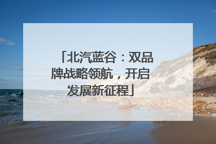 北汽蓝谷：双品牌战略领航，开启发展新征程