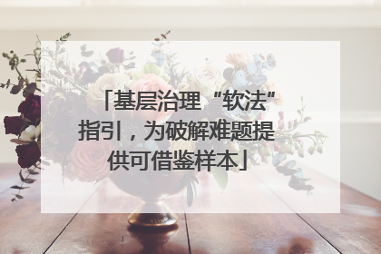 基层治理“软法”指引，为破解难题提供可借鉴样本