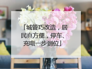 城管巧改造，居民真方便，停车、充电一步到位