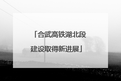 合武高铁湖北段建设取得新进展