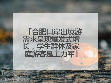合肥口岸出境游需求呈现爆发式增长，学生群体及家庭游客是主力军