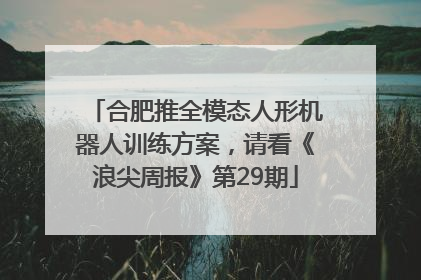 合肥推全模态人形机器人训练方案，请看《浪尖周报》第29期
