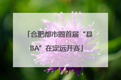 合肥都市圈首届“县BA”在定远开赛