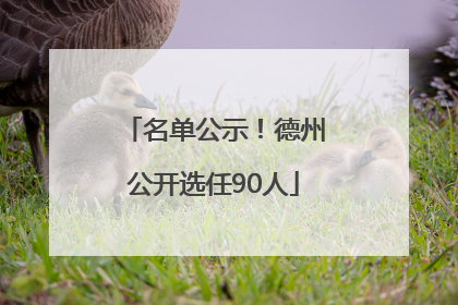 名单公示！德州公开选任90人