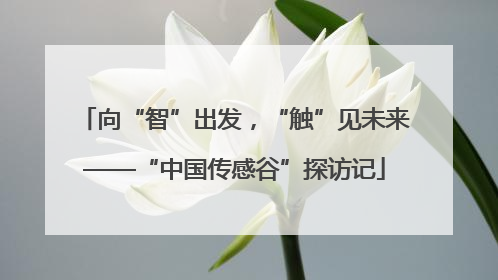 向“智”出发，“触”见未来——“中国传感谷”探访记