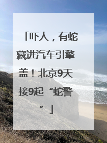 吓人，有蛇藏进汽车引擎盖！北京9天接9起“蛇警”