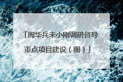 周华兵未小刚调研督导重点项目建设（图）