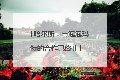 哈尔斯：与泡泡玛特的合作已终止