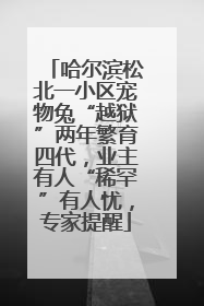 哈尔滨松北一小区宠物兔“越狱”两年繁育四代，业主有人“稀罕”有人忧，专家提醒