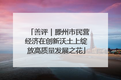 善评｜滕州市民营经济在创新沃土上绽放高质量发展之花