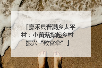 嘉禾县普满乡太平村：小菌菇撑起乡村振兴“致富伞”