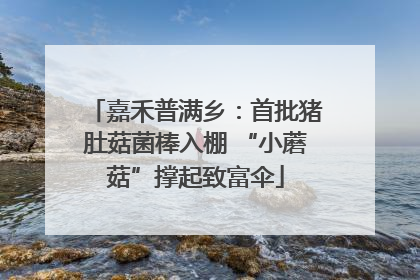 嘉禾普满乡：首批猪肚菇菌棒入棚 “小蘑菇”撑起致富伞