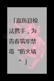 嘉鱼县检法携手，为青春筑牢禁毒“防火墙”
