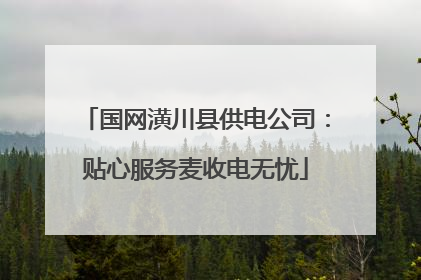 国网潢川县供电公司：贴心服务麦收电无忧