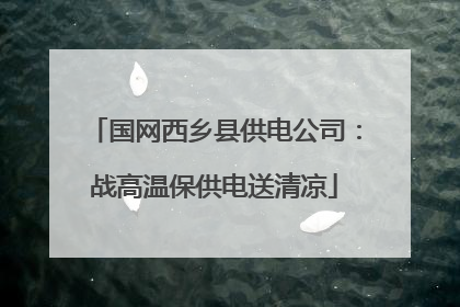 国网西乡县供电公司：战高温保供电送清凉