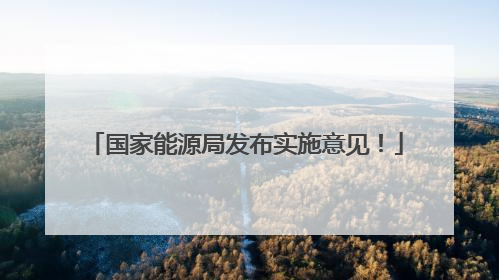国家能源局发布实施意见！