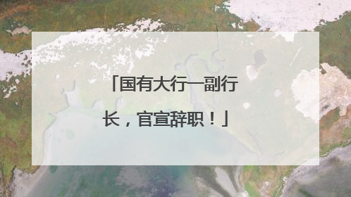 国有大行一副行长，官宣辞职！