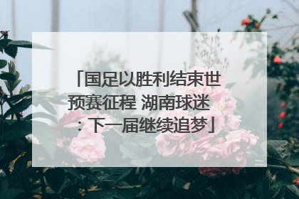 国足以胜利结束世预赛征程 湖南球迷：下一届继续追梦
