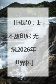 国足0：1不敌印尼 无缘2026年世界杯