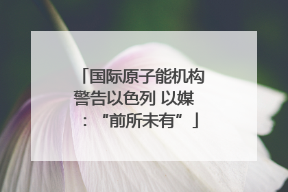 国际原子能机构警告以色列 以媒：“前所未有”