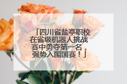 四川省盐亭职校在省级机器人挑战赛中勇夺第一名，强势入围国赛！
