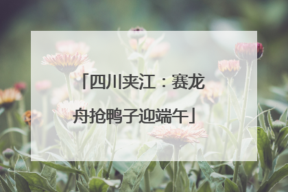 四川夹江：赛龙舟抢鸭子迎端午