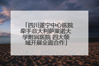 四川遂宁中心医院牵手意大利萨莱诺大学附属医院 四大领域开展全面合作