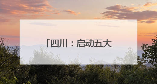 四川：启动五大专项治理 护航民营企业发展