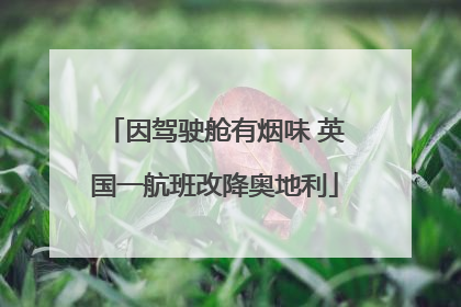 因驾驶舱有烟味 英国一航班改降奥地利