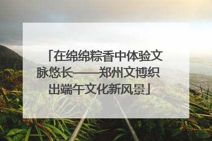 在绵绵粽香中体验文脉悠长——郑州文博织出端午文化新风景