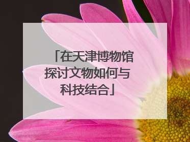 在天津博物馆探讨文物如何与科技结合