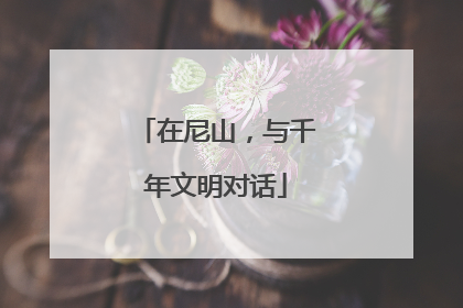 在尼山，与千年文明对话