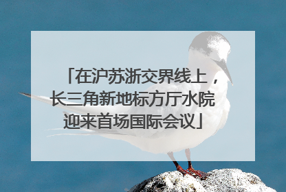 在沪苏浙交界线上，长三角新地标方厅水院迎来首场国际会议