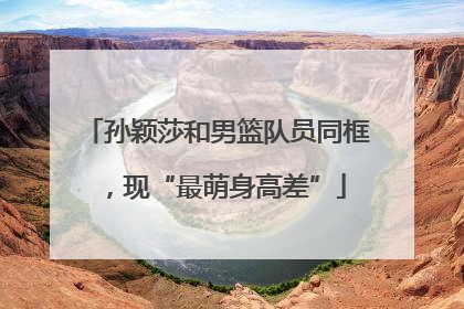孙颖莎和男篮队员同框，现“最萌身高差”