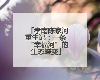 孝南陈家河重生记：一条“幸福河”的生态蝶变