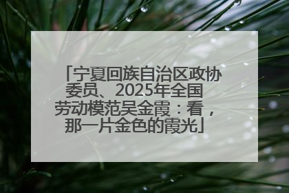 宁夏回族自治区政协委员、2025年全国劳动模范吴金霞：看，那一片金色的霞光